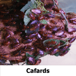 Cafards